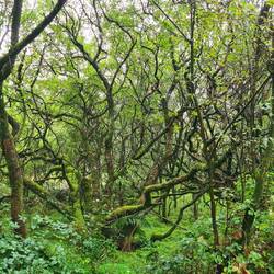 burston moor / welsford moor