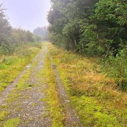 burston moor / welsford moor