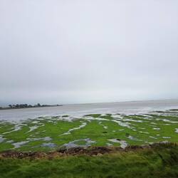 das sieht fast ud as wie bi uns to hus