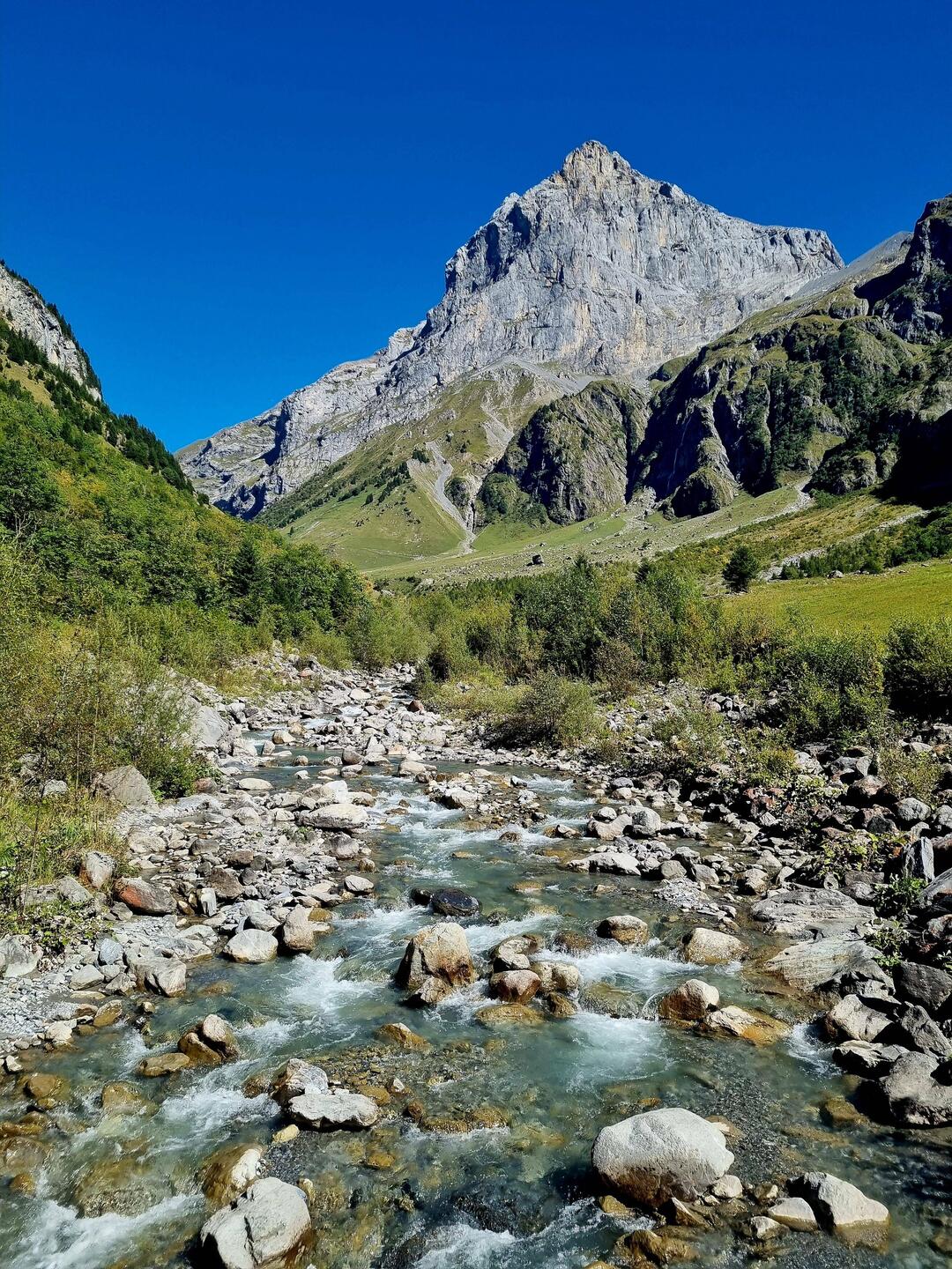 Das Surenental mit dem Schlossberg