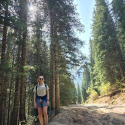 Forest ranger