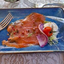 Die Forelle, die ein Lachs war ?