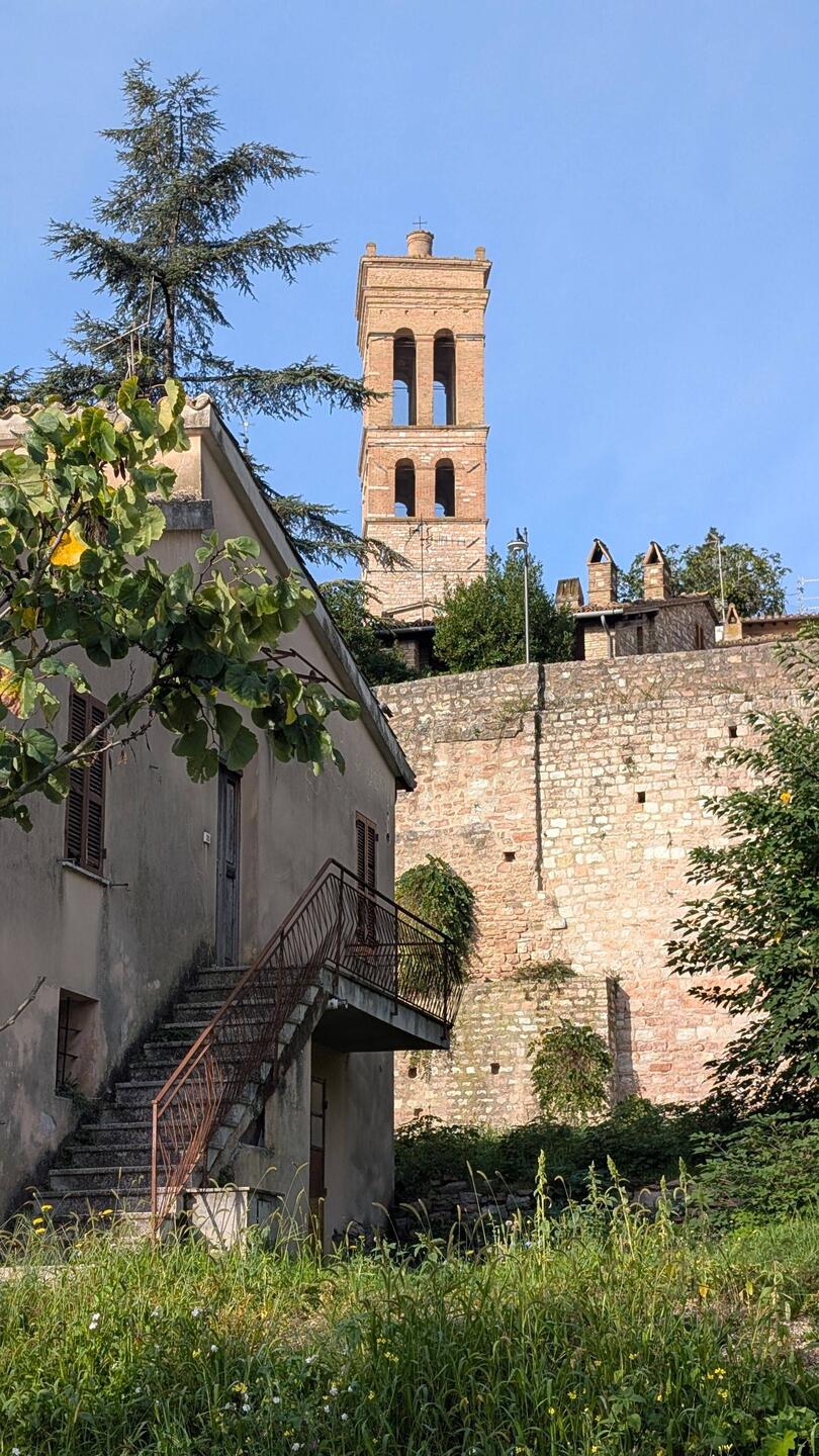 Onelli