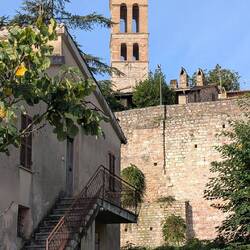 Onelli