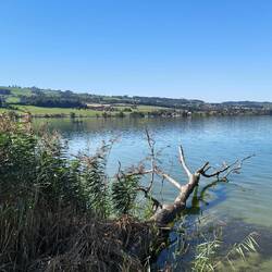 Sempacher See
