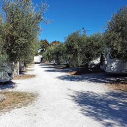 Onze camperplaats in Alberobello onder de olijfbomen