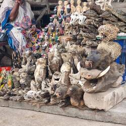 Assorted body parts at the Fetish Market. It was a bit whiffy.