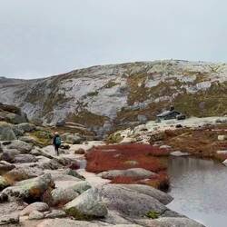 Video of the red grass and pond
