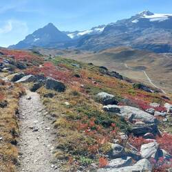 Vandring med udsigt til toppen; Dent Parrachée