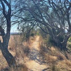 Did I mention that it's really hot and dry?