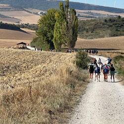 There were tons of middle school age students walking the Camino today. What an amazing field trip!