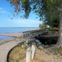 Bridge across a back water