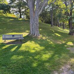 An inviting bench