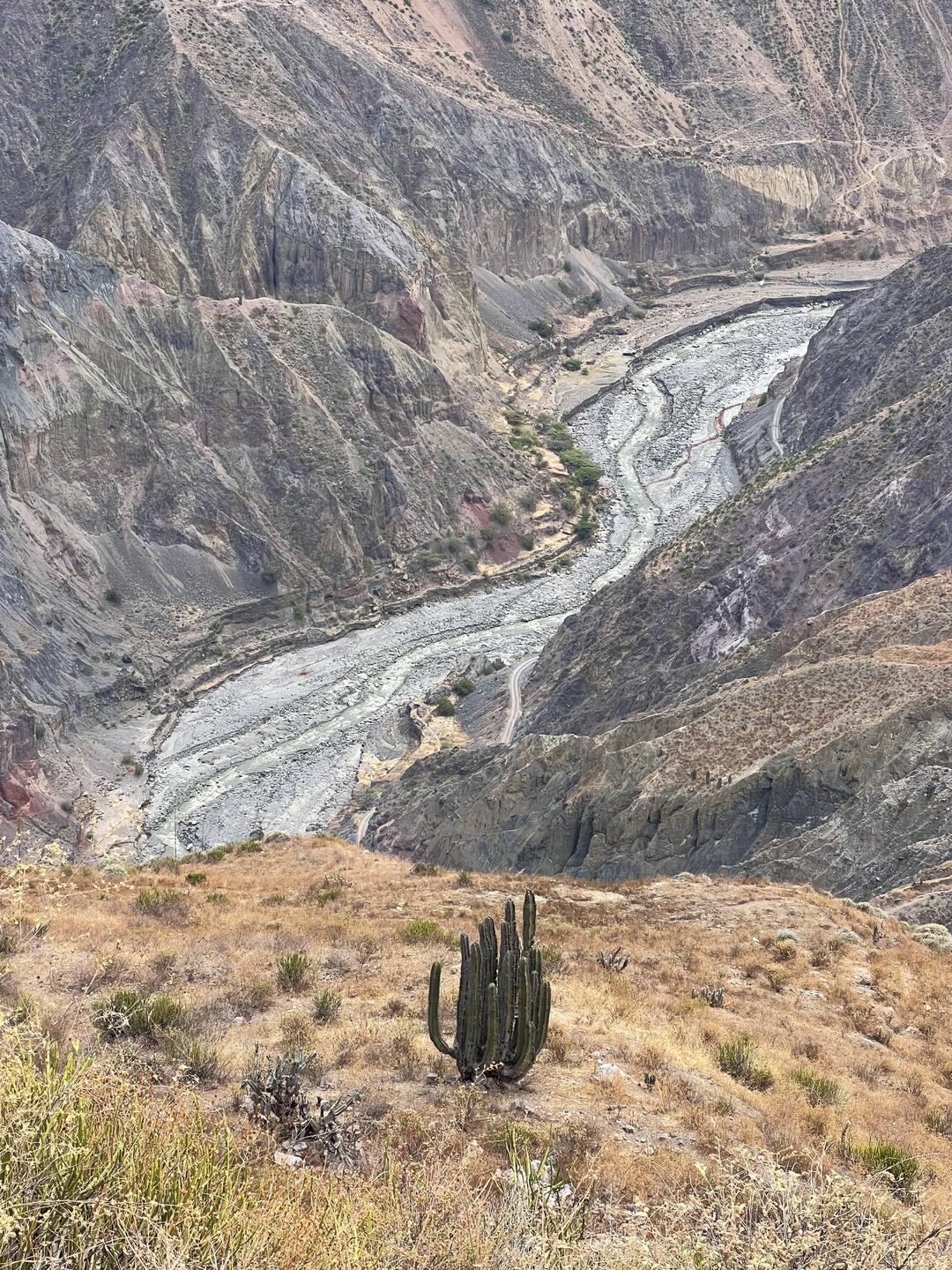 The bottom of the canyon comes into view