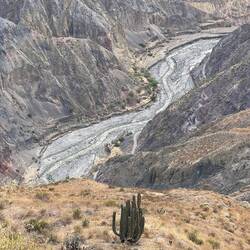 The bottom of the canyon comes into view