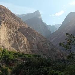 As we come higher, vegetation develops