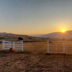 ...Abendstimmung bei Köbi....