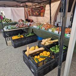 ...erstaunlich, was da alles an Gemüse & Früchte angeboten wird...