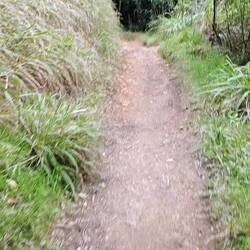 Ein kleiner Ausschnitt der Wanderung (wie gewohnt)