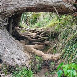 Der Weg