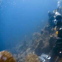 Bei unseren aktuellen Tauchgängen wird sich mehr festgeklammert als alles andere 🙈