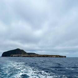 Wolf Island lassen wir erst einmal hinter uns