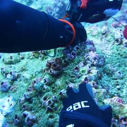 Man muss sich buchstäblich festkrallen, damit die Strömung einen nicht wegfegt