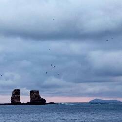 Ursprünglich Darwin's Arch jetzt nur noch Darwin's Pillars 🤷‍♀️