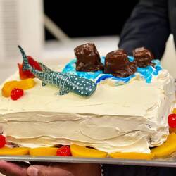 Nachtisch zur Feier des Tages mit Walhai