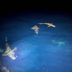 Lieber nicht ins Wasser fallen nachts 🙈