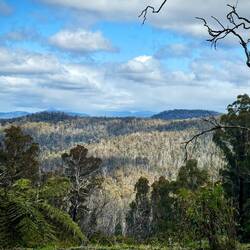 Views of the South East Forest and farther to the Mt.Imlay National Park