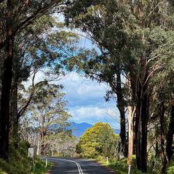 A gorgeous long free wheel followed and there was much smiling! Best descent so far 😁