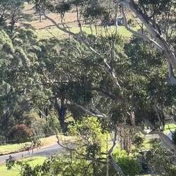 Idyllic dreamy breakfast on the veranda of the Robbie Burns hotel