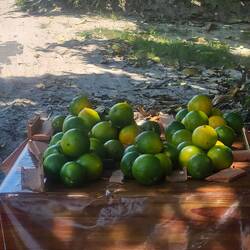 Sternapfel, wird ausgelöffelt wie eine Kiwi. Schmeckt für mich aber mehr nach süßer Birne