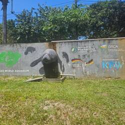 Mit Unterstützung der deutschen Regierung und Kfw Bank