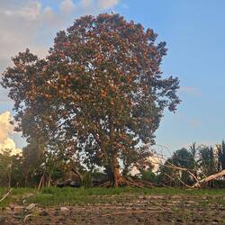 Und die Pflanzenwelt genauso vielfältig