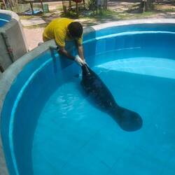Auffangstation für gerettete Tiere vom Schwarzmarkt
