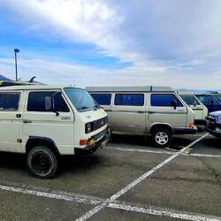 VW Bus T2 Synchro Gruppe