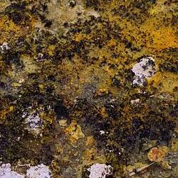 Alles kleine Krabbelviecher