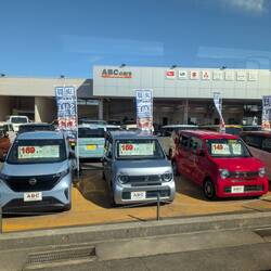 Almost all cars in Japan look like these!