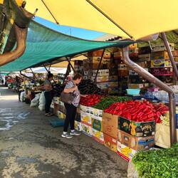 Piața Cibin - Zibinsmarkt (Sibiu)