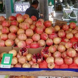 Market pomegranates large and cheap