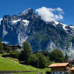 Wetterhorn ... from the road back to the Grindelwald Terminal — Switzerland.