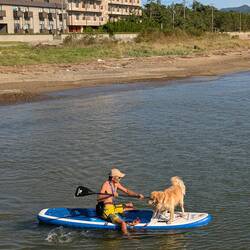 Der Hund hat Spaß 😄