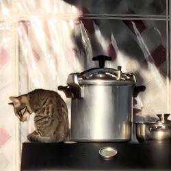 Kommt alle her, hier ist noch was zu essen!