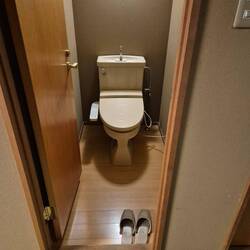 extra Toilettenschläppchen