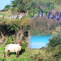 Die Tour beginnt tierisch....