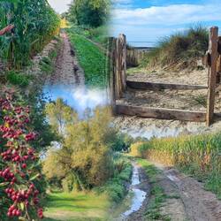 Eine wahrhaft einzigartige Dünenlandschaft