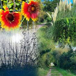 Die Natur ist etwas wunderbares