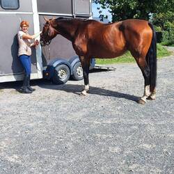 Da war auch noch jemand anderes da. Erstmal volllabern.....😄